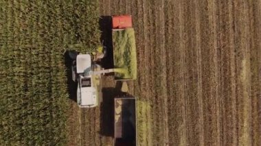 Mısır Silo Hasat Tarlasında Hasat mısır hasat makinesi ve traktör