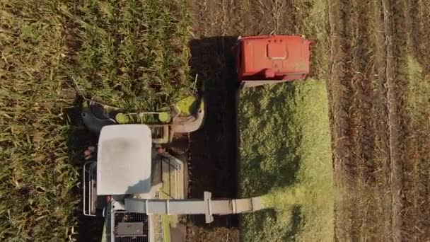 Cosecha cosechadora de maíz y tractor en maíz Silo Harvester Field — Vídeo de stock