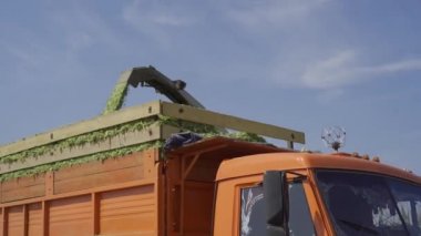 hasat hasat ürün mısır Silo Alanı hasat