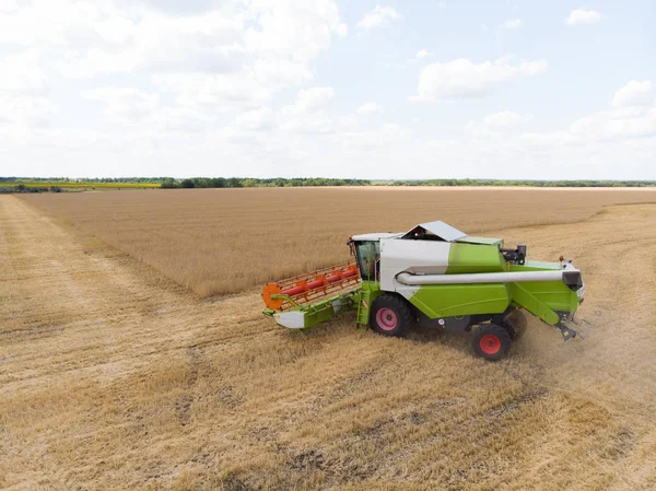 Colheita de trigo no verão. Combine a máquina agrícola colheitadeira coletando trigo maduro dourado no campo. Vista de cima . — Fotografia de Stock