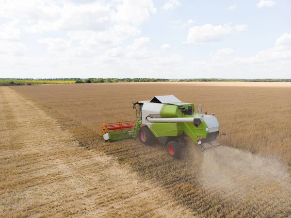 Colheita de trigo no verão. Combine a máquina agrícola colheitadeira coletando trigo maduro dourado no campo. Vista de cima . — Fotografia de Stock