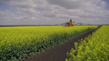 Tarım spreyi detayı. Çiçekli tecavüz tohumu tarlası. Sarı kanola diyarında çalışan bir sprey makinesi. Bahar manzarası. Kimyasal gübreler, zehirli böcek ilaçları, böcek ilaçları. Ekoloji.