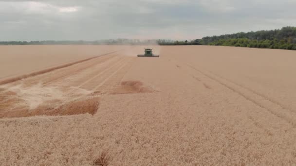 Vista aérea de una cosechadora verde que trabaja en un campo de trigo de invierno — Vídeos de Stock