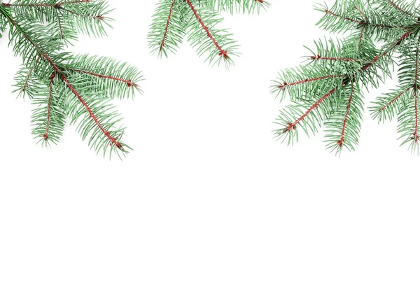 Vista dall'alto su tre rami di abete isolati su sfondo bianco. Modello, vuoto, concetto per cartolina di Natale — Foto Stock
