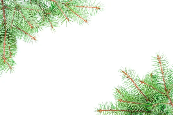 模板圣诞贺卡从美丽的绿色圣诞树树枝在图片的角落与空白的地方，文本隔离在白色背景 — 图库照片