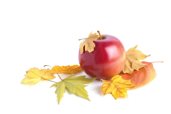 Composición otoñal con deliciosa manzana y coloridas hojas de otoño sobre fondo blanco. Copiar espacio. Humor de otoño, concepto de temporada de otoño —  Fotos de Stock