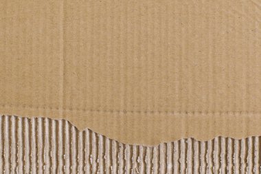 Üst kattaki kıvrımlı, çizgili, kahverengi karton bir yaprak ve altından yırtılmış bir kağıt parçası. Soyut moda modern doku arkaplanı