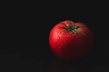 Kırmızı, taze, olgun, sulu yeşil yapraklı domates ve karamsar arkaplana su damlaları ve metin için metin alanı.