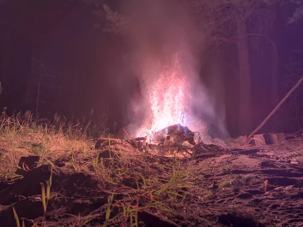 一个地狱般的壁炉 女巫安息日 在森林中央度过一个明亮的夜晚 在松树之间 — 图库照片