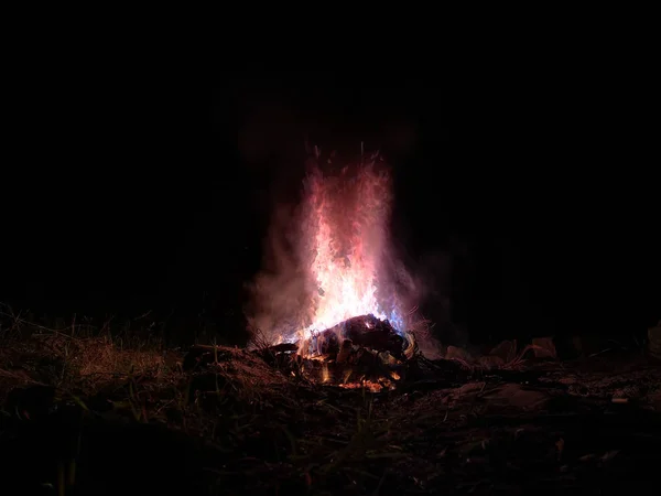 Wunderschönes Magisches Feuer Die Magie Der Roten Flamme Nächtlichen Wald — Stockfoto