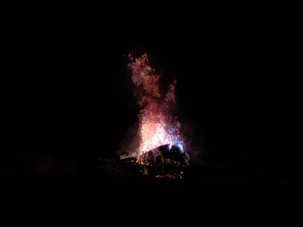 森林中的希望火花 在黑暗中的光 美丽的火焰 — 图库照片
