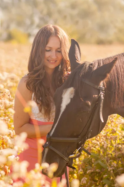 Schöne Mädchen Streichelt Den Kopf Ihres Pferdes Vertikale Blechorientierung — Stockfoto