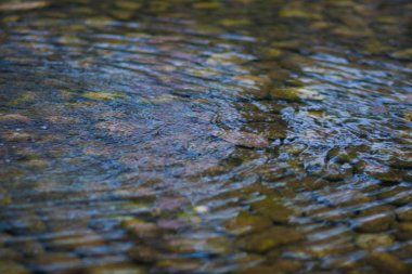 su ve taş gölde. tasarımınız için fotoğraf. Sayfayı yatay yönlendirme