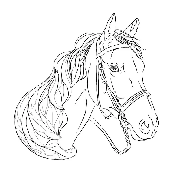 馬ブラック ホワイト ヘッド 自由の象徴 白のベクトル図は 背景を分離しました スケッチ スタイル — ストックベクタ