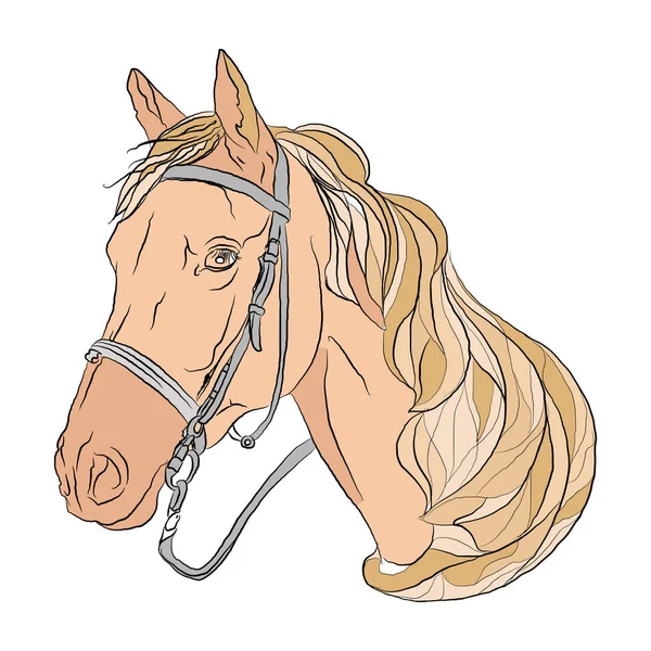 Cabeça Cor Pêssego Cavalo Ilustração Vetorial Sobre Fundo Branco Isolado — Vetor de Stock