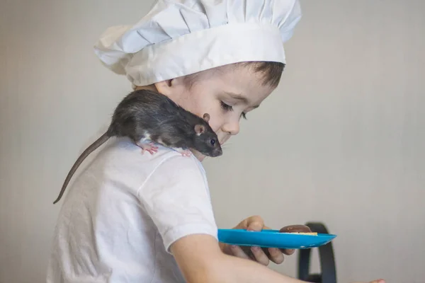 Le concept d'un restaurant pour enfants. Un rat gris est assis sur l'épaule d'un petit garçon . — Photo