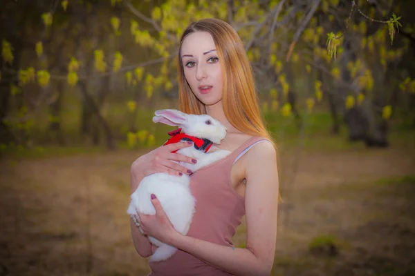 Mooi meisje met een wit konijn. Een vrouw houdt een haas. — Stockfoto