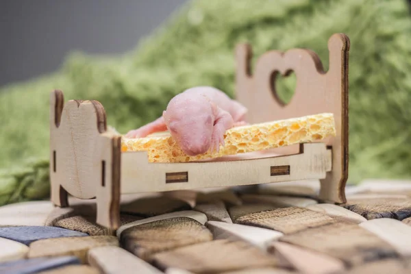 Koncepcja zdrowego snu. Mysz dla dzieci leżąca na łóżeczku. — Zdjęcie stockowe