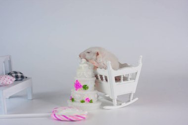 Fare pasta nın arka planında bir beşik oturur.