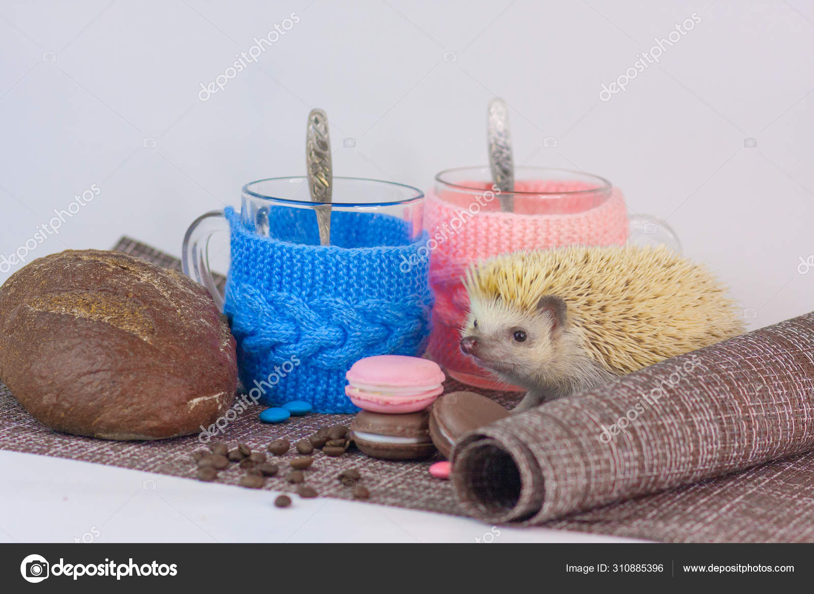 Stockfotos Hedgehog And Cake Bilder Stockfotografie Hedgehog And Cake Lizenzfreie Fotos Depositphotos