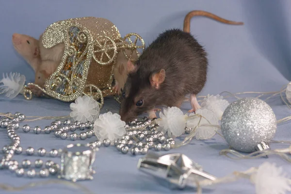 Christmas mouse on the background of beautiful holiday decorations.