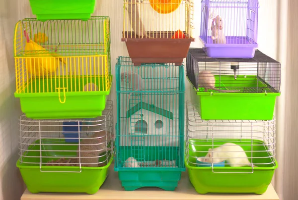 Käfige für Mäuse. Häuser für dekorative Ratten. — Stockfoto