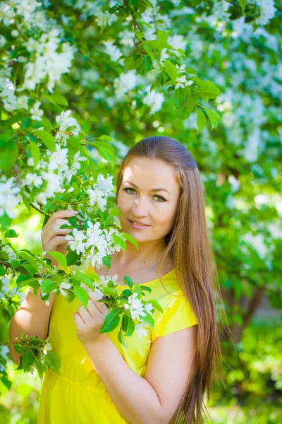 Een portret van een mooi meisje met kersenbloesems. — Stockfoto