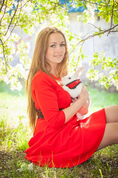 Mooi meisje in een rode jurk met een decoratieve witte konijn op de achtergrond van een bloeiende appelboom. — Stockfoto