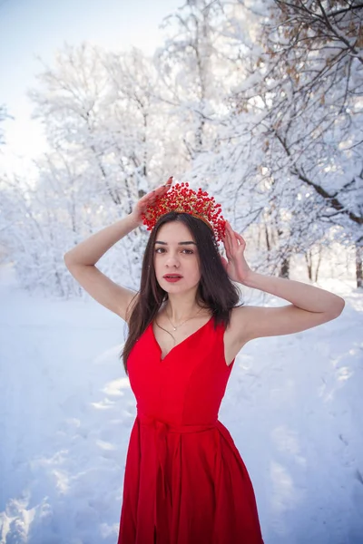 Królowa Czerwonej Koronie Wśród Lasów Zimowych Urocza Dziewczyna Czerwonej Długiej — Zdjęcie stockowe