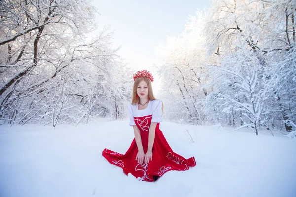 Kış Ormanları Arasında Kırmızı Taç Giyen Kraliçe Kırmızı Rus Halk — Stok fotoğraf