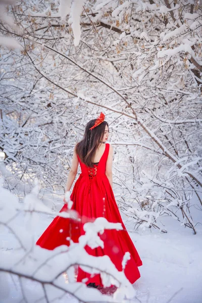 Kış Ormanları Arasında Kırmızı Taç Giyen Kraliçe Kırmızı Uzun Elbiseli — Stok fotoğraf