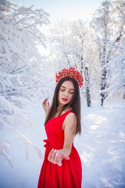 Kış Ormanları Arasında Kırmızı Taç Giyen Kraliçe Kırmızı Uzun Elbiseli — Stok fotoğraf