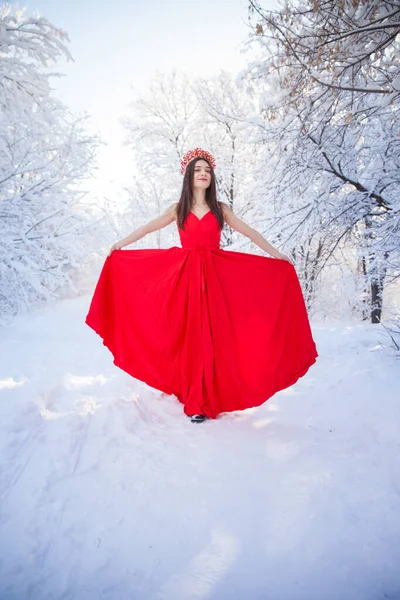 Rainha Uma Coroa Vermelha Entre Floresta Inverno Menina Encantadora Vestido — Fotografia de Stock