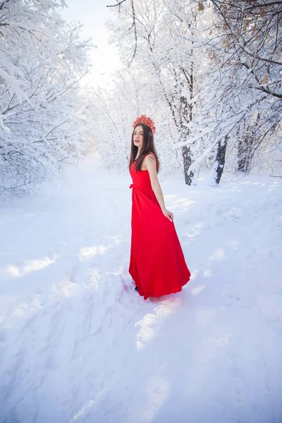 Rainha Uma Coroa Vermelha Entre Floresta Inverno Menina Encantadora Vestido — Fotografia de Stock