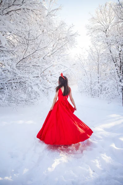 Rainha Uma Coroa Vermelha Entre Floresta Inverno Menina Encantadora Vestido — Fotografia de Stock