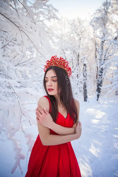 Královna Červené Koruně Zimním Lese Krásná Dívka Červených Dlouhých Šatech — Stock fotografie