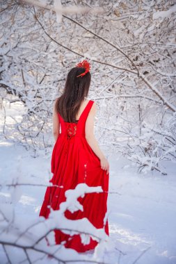 Kış ormanları arasında kırmızı taç giyen kraliçe. Kırmızı uzun elbiseli güzel kız. Çekici esmer.