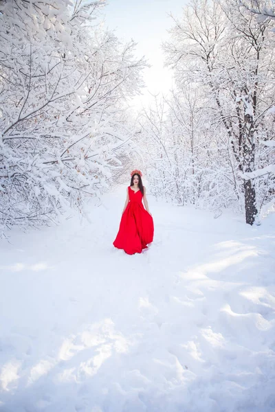 Rainha Uma Coroa Vermelha Entre Floresta Inverno Menina Encantadora Vestido — Fotografia de Stock