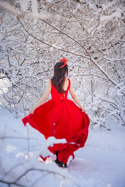 Королева Красной Короне Среди Зимнего Леса Милая Девушка Красном Длинном — стоковое фото