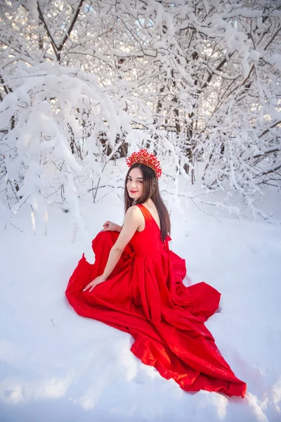 Kış ormanları arasında kırmızı taç giyen kraliçe. Sevimli bir kız — Stok fotoğraf