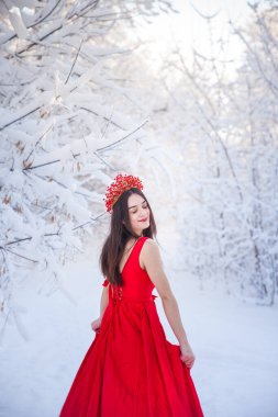 Kış ormanları arasında kırmızı taç giyen kraliçe. Sevimli bir kız