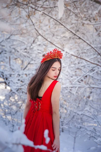 Królowa w czerwonej koronie wśród lasów zimowych. Piękna dziewczyna w — Zdjęcie stockowe