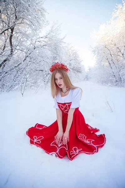 Kış Ormanları Arasında Kırmızı Taç Giyen Kraliçe Kırmızı Rus Halk — Stok fotoğraf