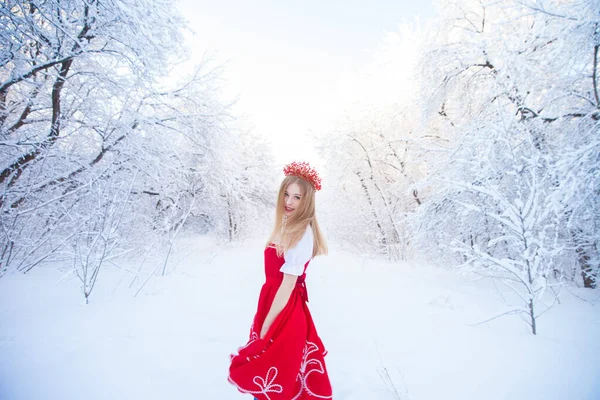 Rainha Uma Coroa Vermelha Entre Floresta Inverno Menina Encantadora Uma — Fotografia de Stock