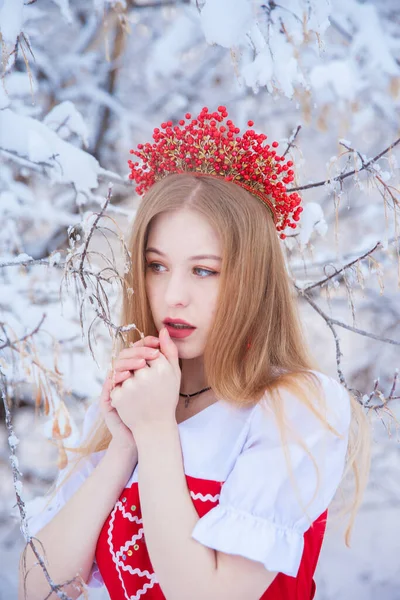 Rainha Uma Coroa Vermelha Entre Floresta Inverno Menina Encantadora Uma — Fotografia de Stock