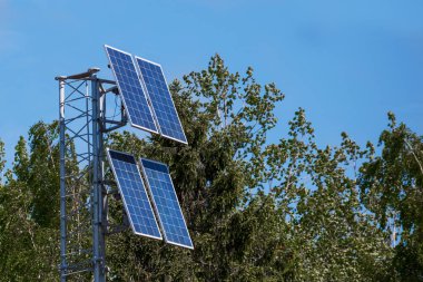 Ormanda güneş panelleri. Konsept: yenilenebilir enerji.