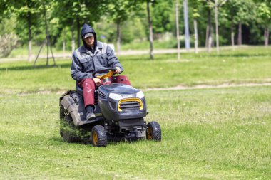 Rusya, Saint-Petersburg, Park Petersburg, 14.06.2018 300 yıldönümü: bir adam bir traktör çim biçme makinesi üzerinde çim mows