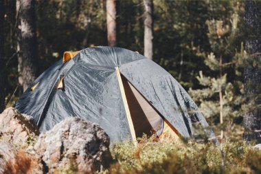 Çam ormanı çadırda. Konsept: turizm, dinlenme ormandaki