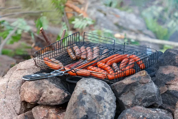 Saucisse Rôtie Feu Sur Gril Pique Nique Dans Nature — Photo