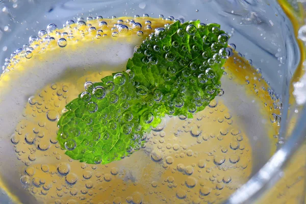 Mint Bladeren Citroen Segment Water Met Bubbels — Stockfoto